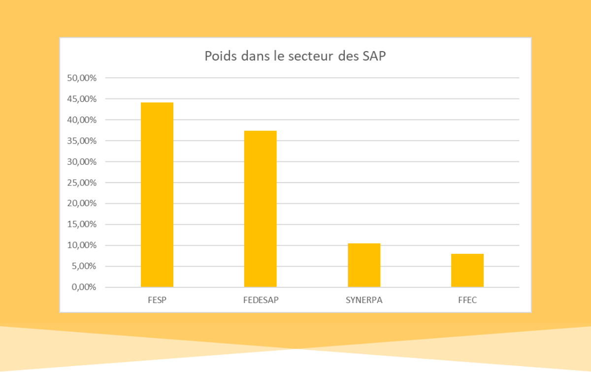 La Fesp, fédération leader des services à la personne !